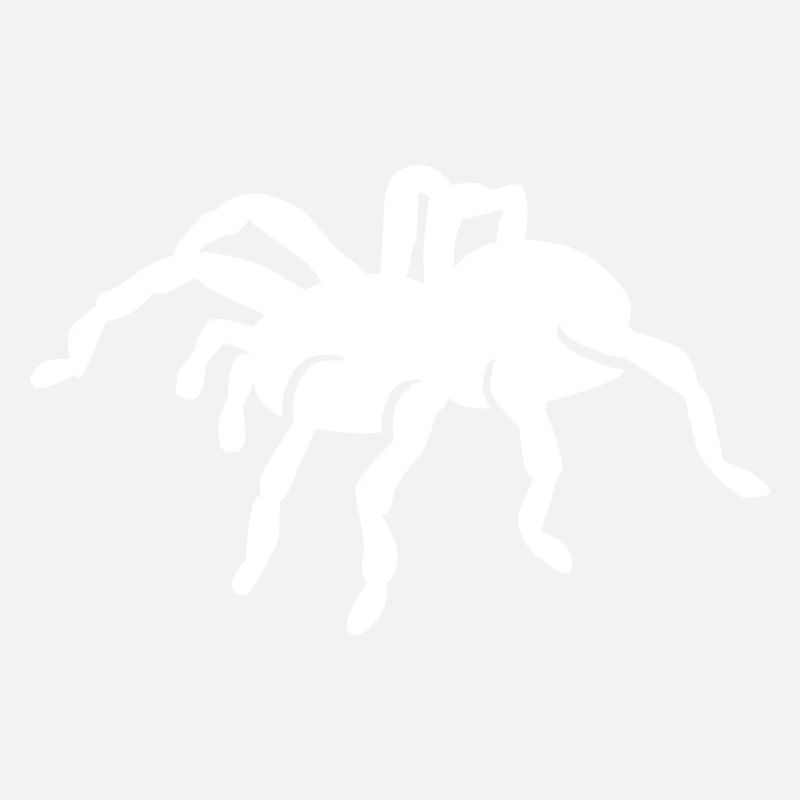 Spinne
