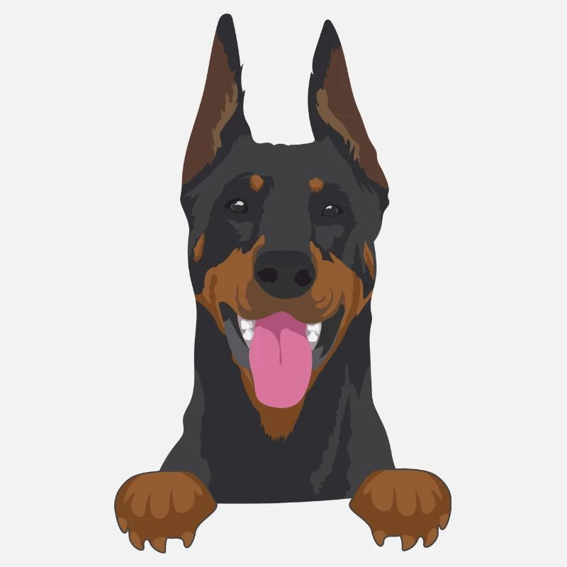 Dobermann Hund - Dobermann