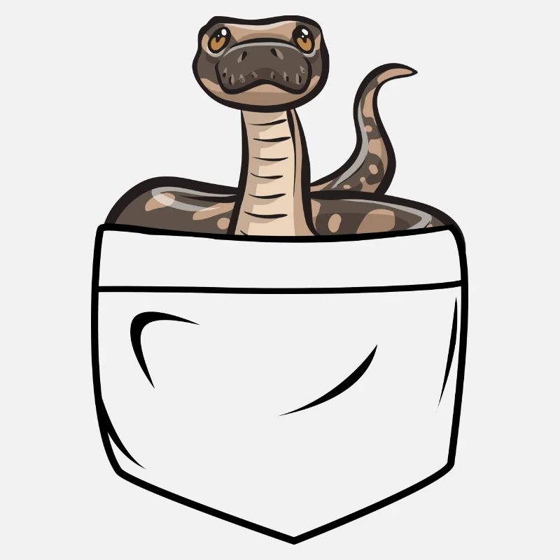 Ball Python Schlange Königspython