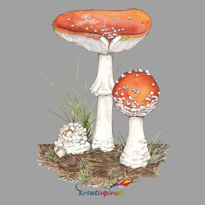 Toadstool