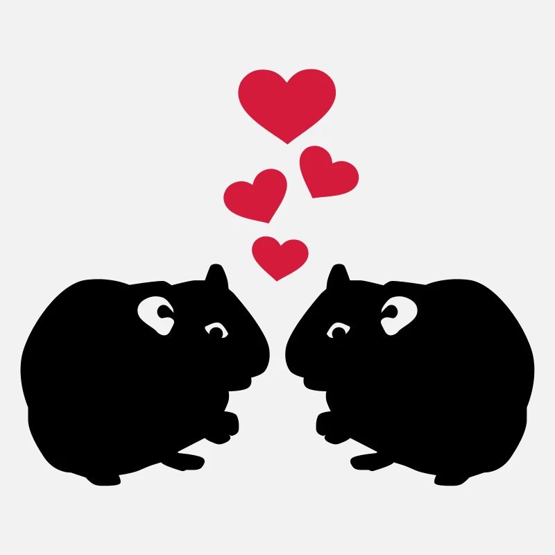 Cochon d'Inde