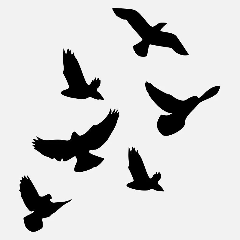 Oiseaux
