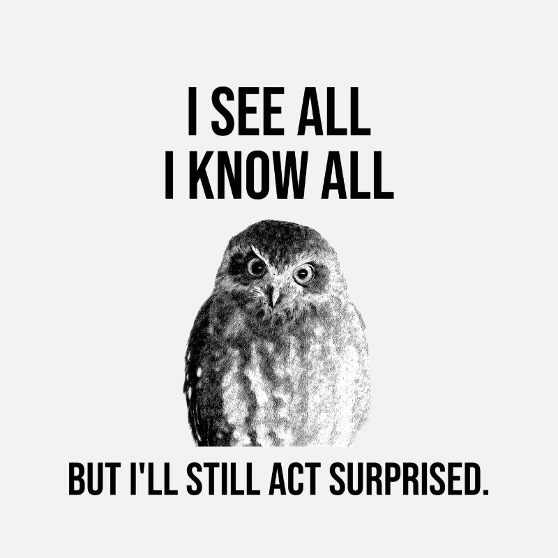 Weise Eule– I See All, I Know All