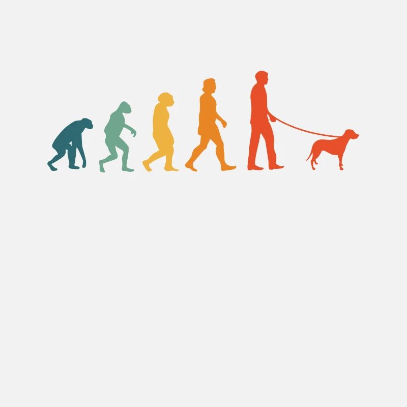 Brandlbracke Evolution Retro Bracke Chien