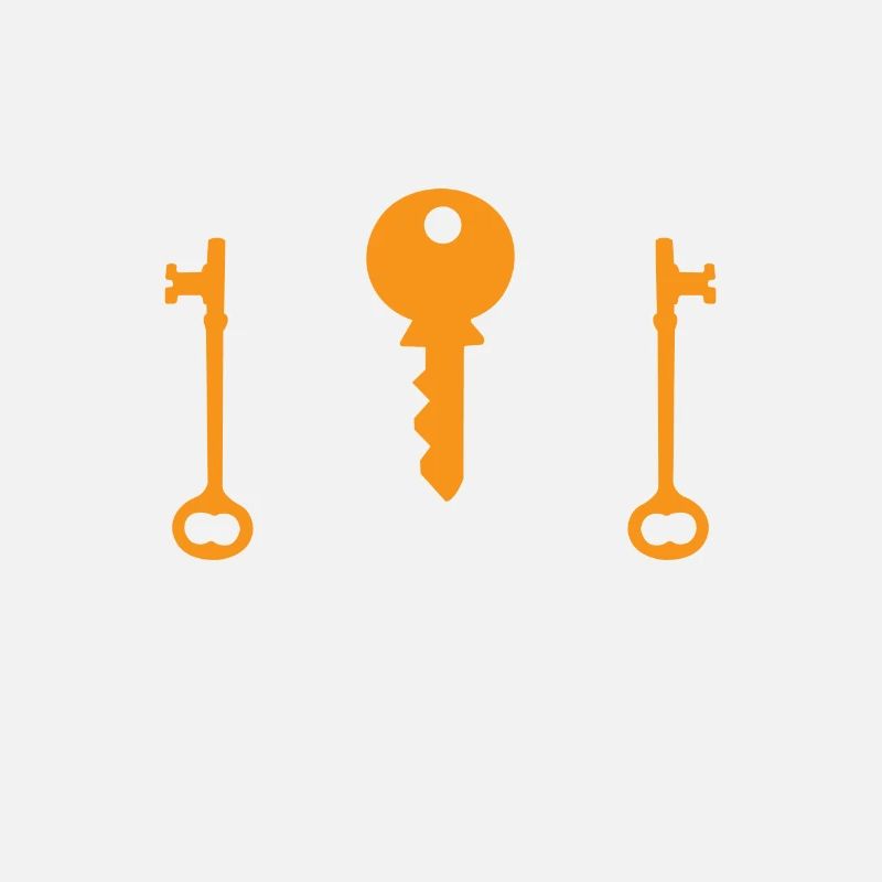 Professional locksmith locksmith lock
