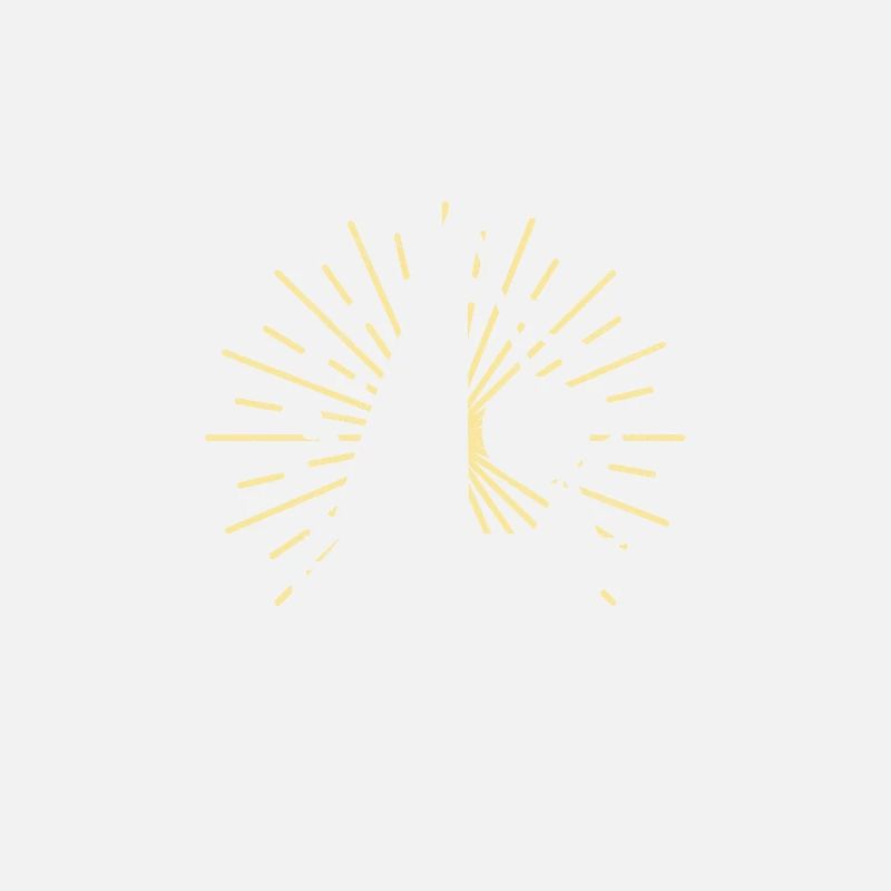 Sailing Sailboat Sailor