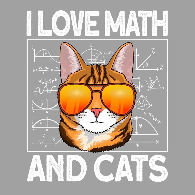 mathematics math teacher cat math arithmetic