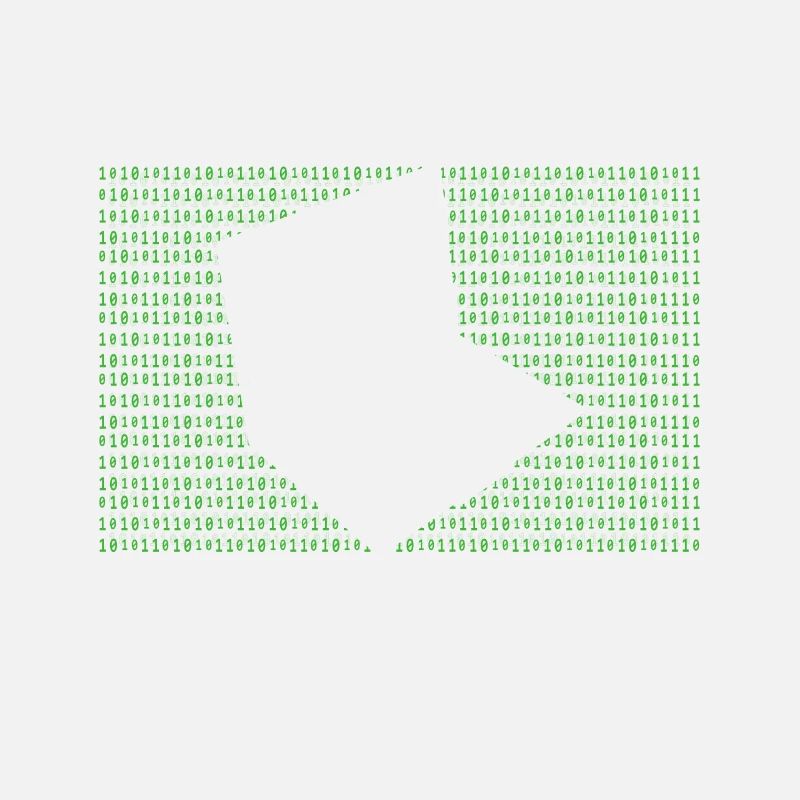 Programmierer Informatiker