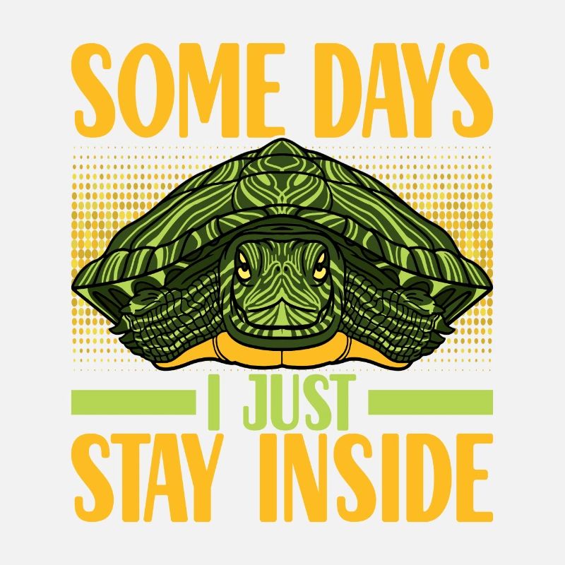 Turtle Turtle Aquatic turtle