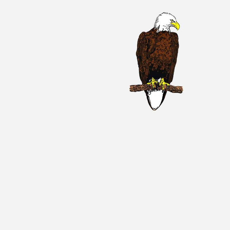 Pygargue à tête blanche - Aigle oiseau Design graphique