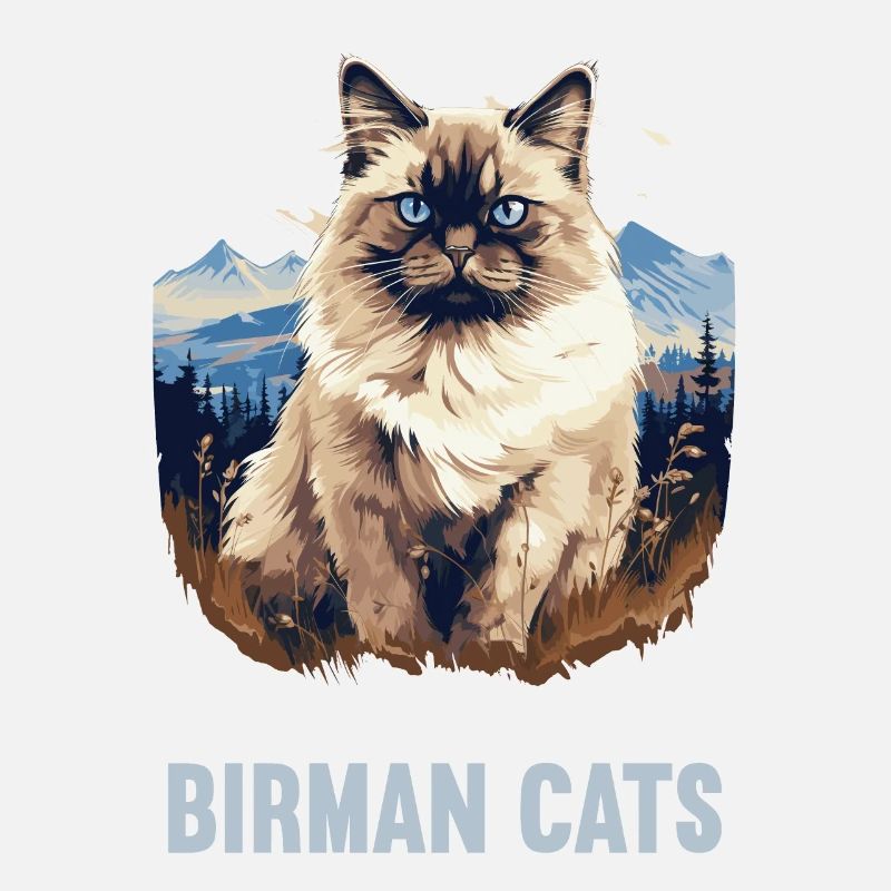 Birman Cat Birma Katze