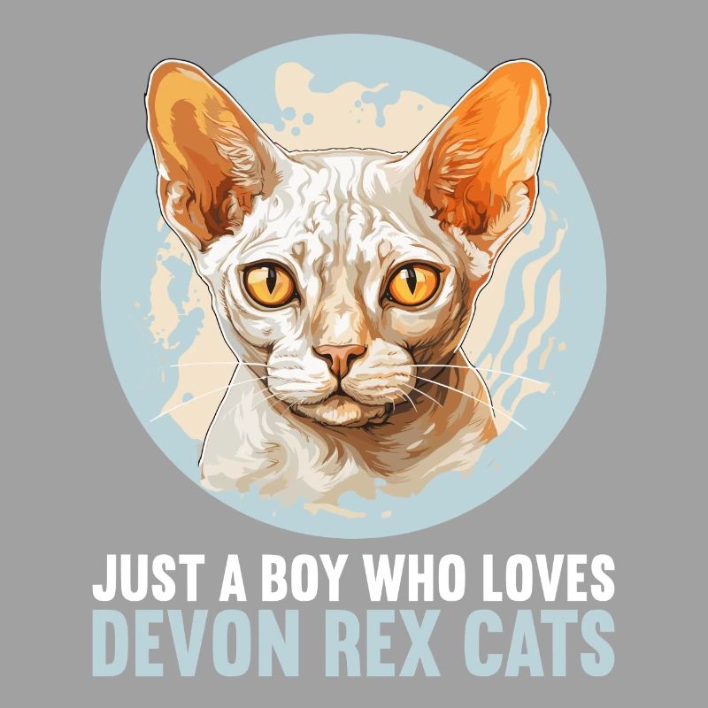 Devon Rex Kitten Devon Rex Cat