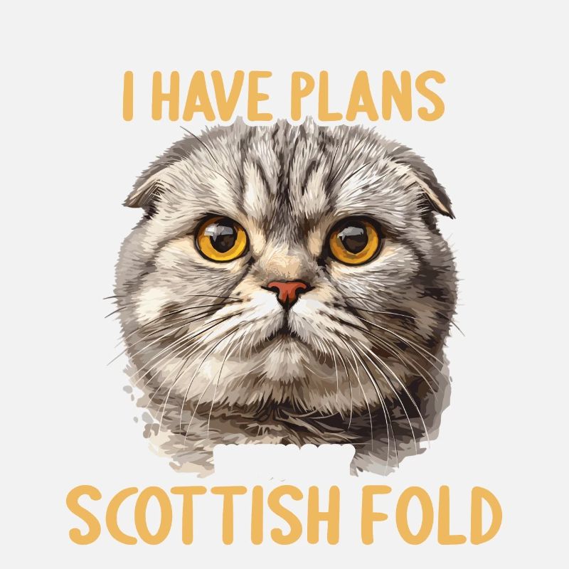 Scottish Fold Kitten Scottish Fold chat