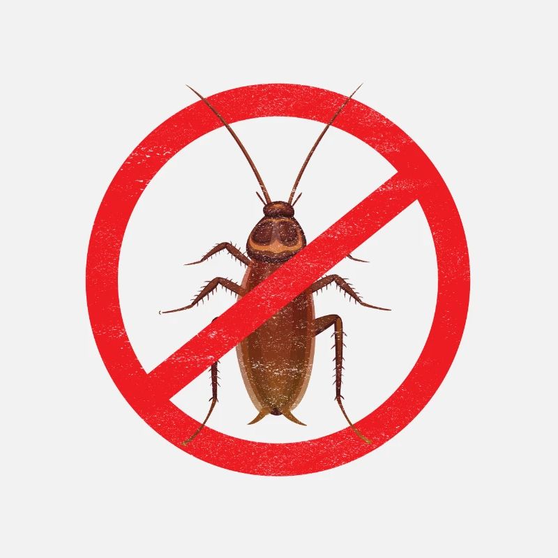 Pest Control Exterminators
