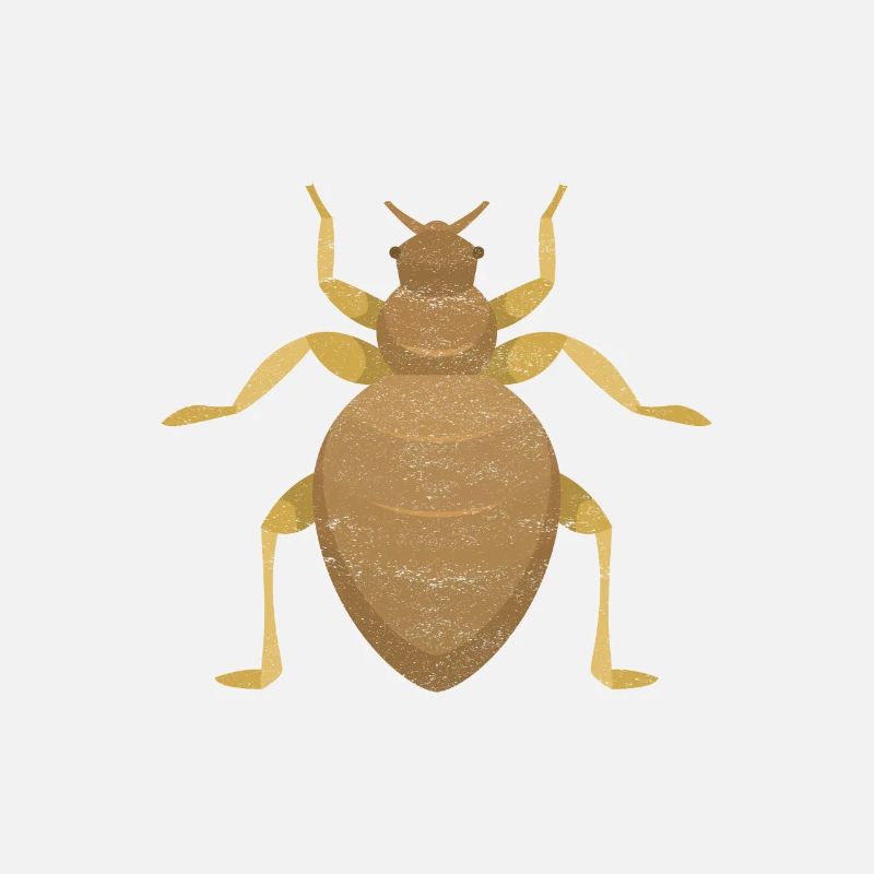 Pest Control Exterminators