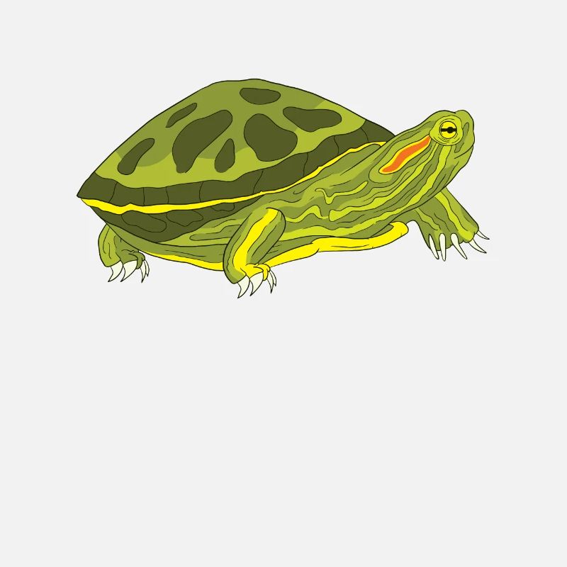 Red-eared Turtle Turtle