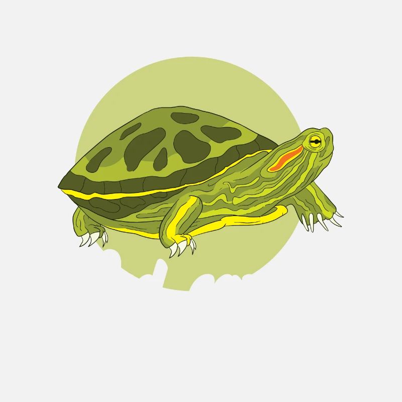 Red-eared Turtle Turtle