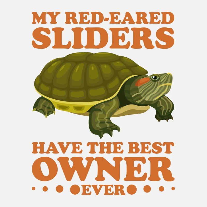 Red-eared Turtle Turtle