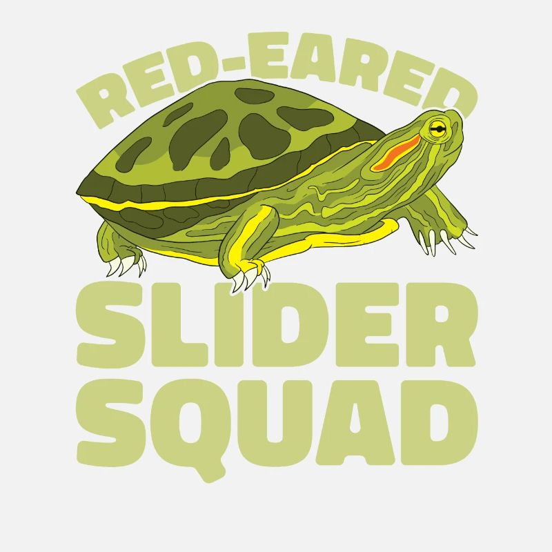 Red-eared Turtle Turtle
