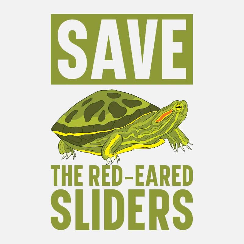Red-eared Turtle Turtle
