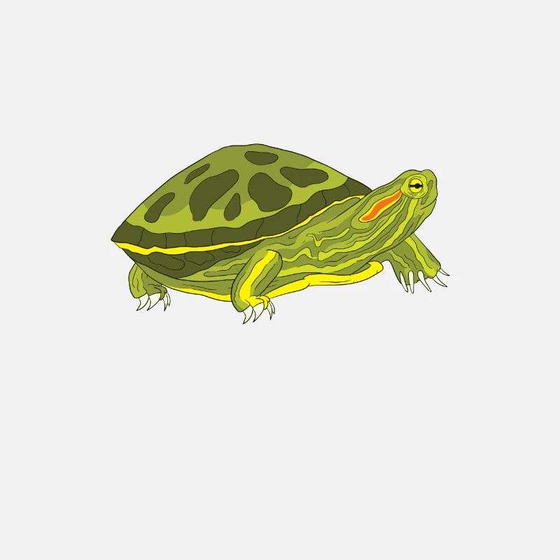 Red-eared Turtle Turtle