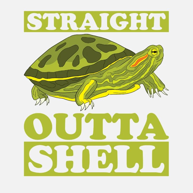 Red-eared Turtle Turtle