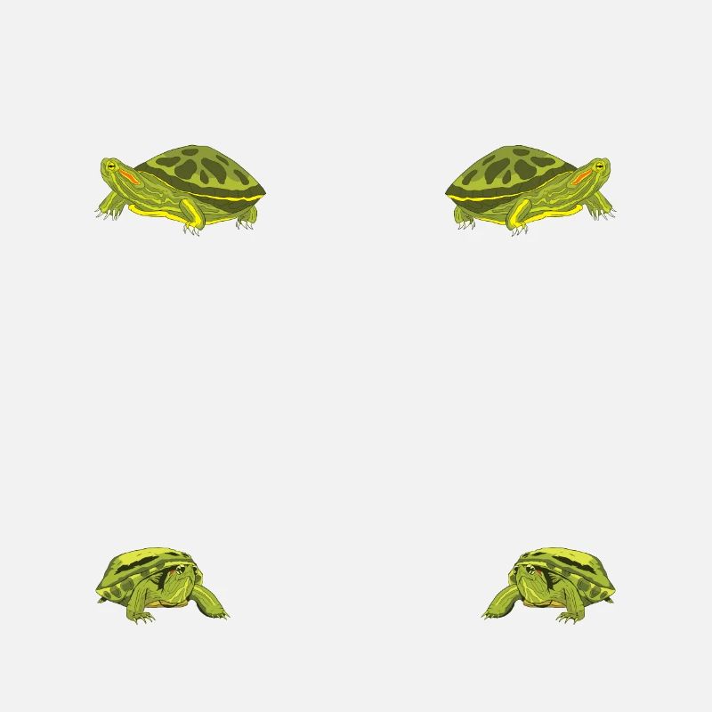 Red-eared Turtle Turtle