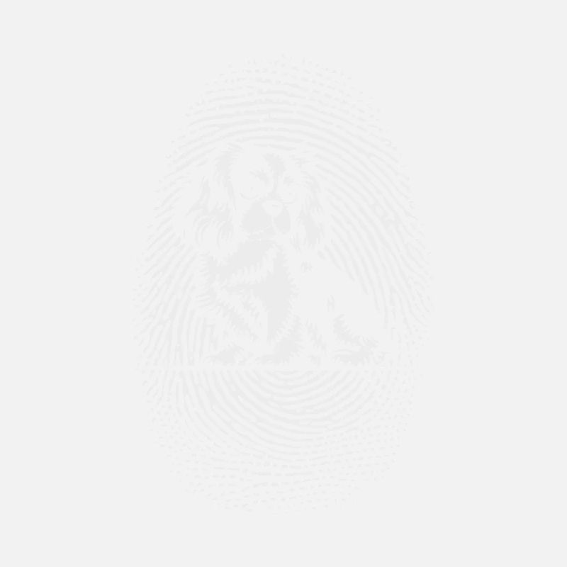 Spaniel Fingerprint Creative Spaniel