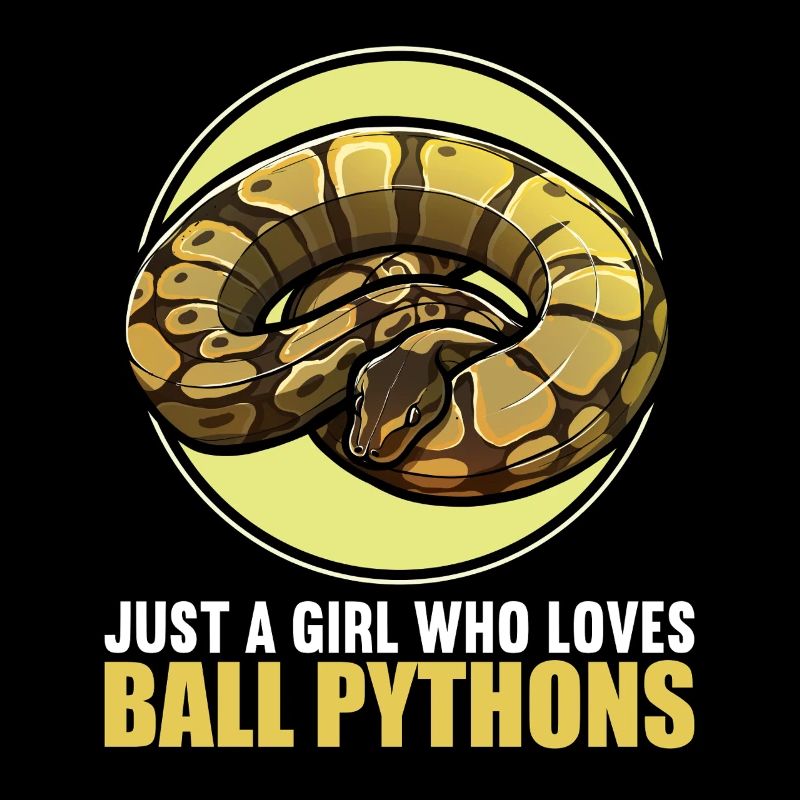 Ball Python Königspythons Königspython