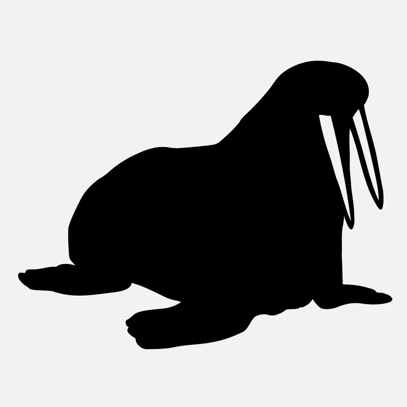 Walrus
