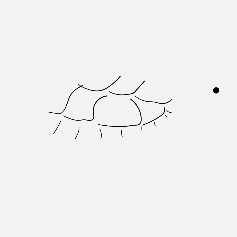 Turtle Turtle