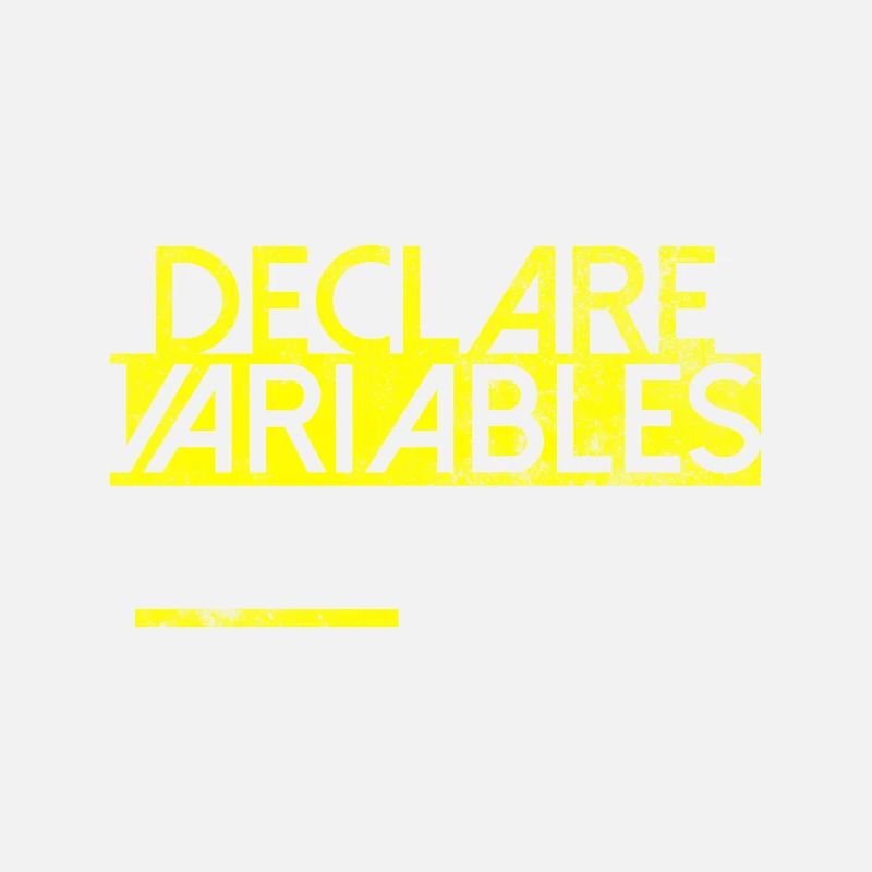 Declare Variables Développeur Software Nerd