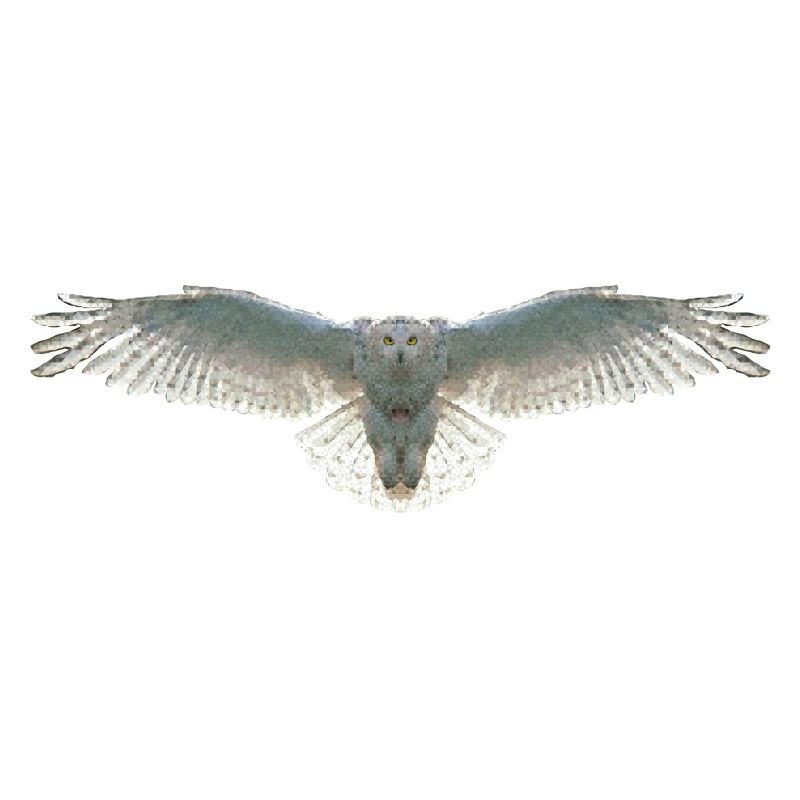 Schneeeule Eule Polygon Vogel Tier Wildtier Uhu