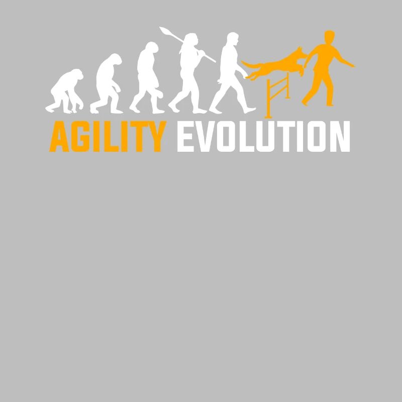 Agility Evolution