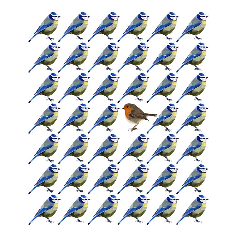 sei anders Blaumeise Rotkehlchen Vogel Muster