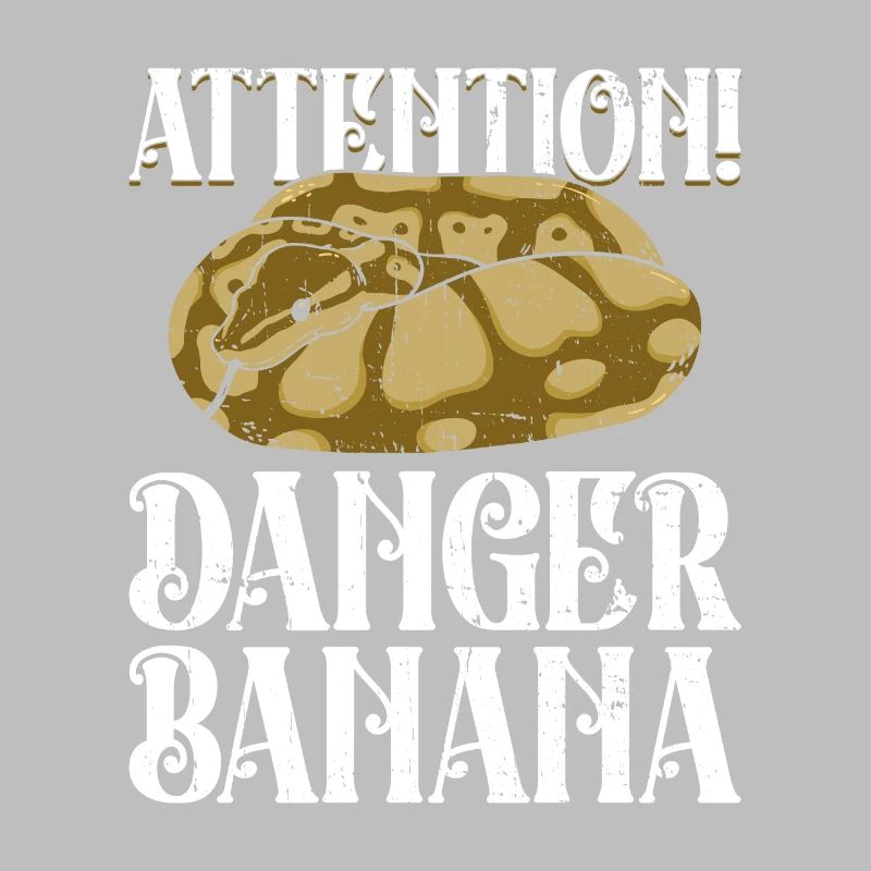 Königspython Banane Königspython Schlange