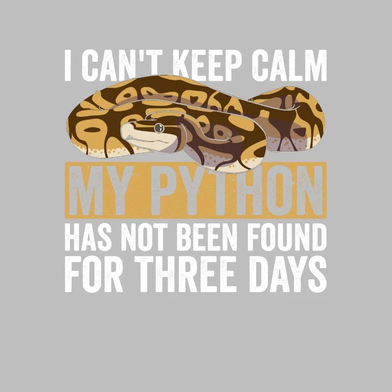 Königspython Banana Ball Python
