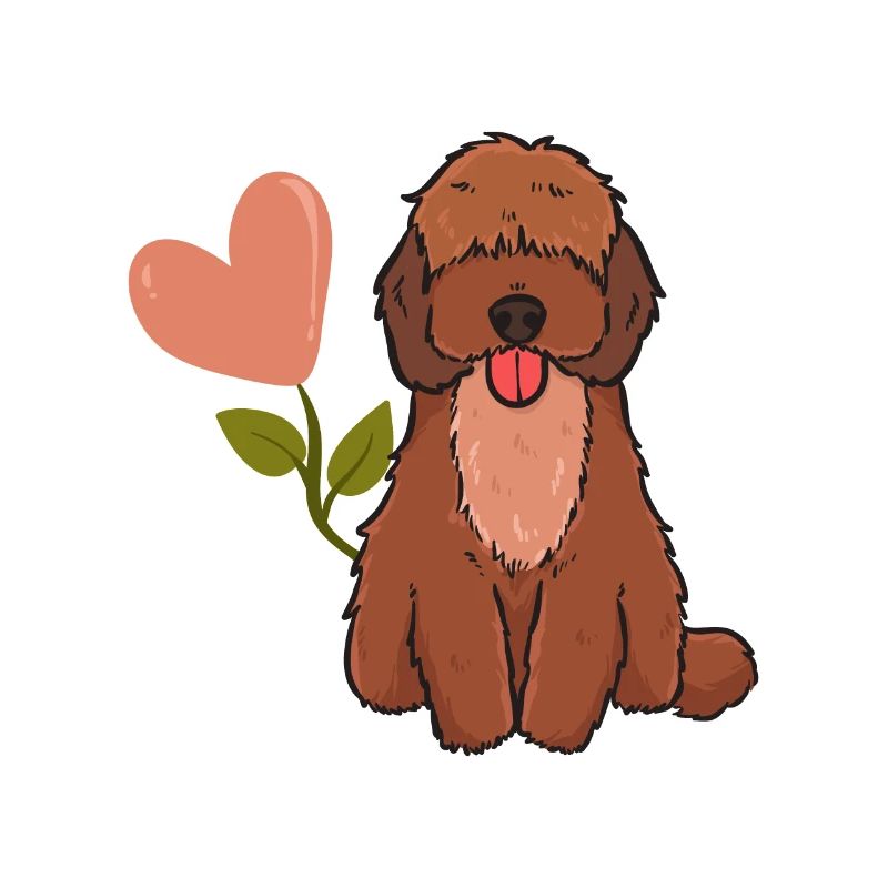 Cockapoo Cavapoo Cavoodle Spoodle Hundeliebhaber