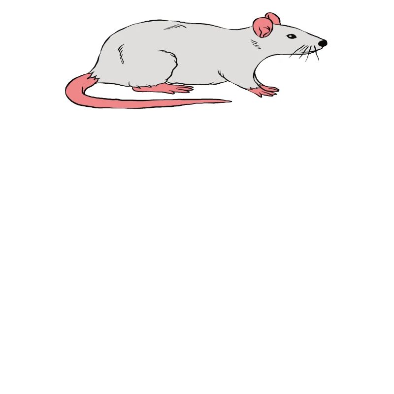 Je devrais acheter plus de rats