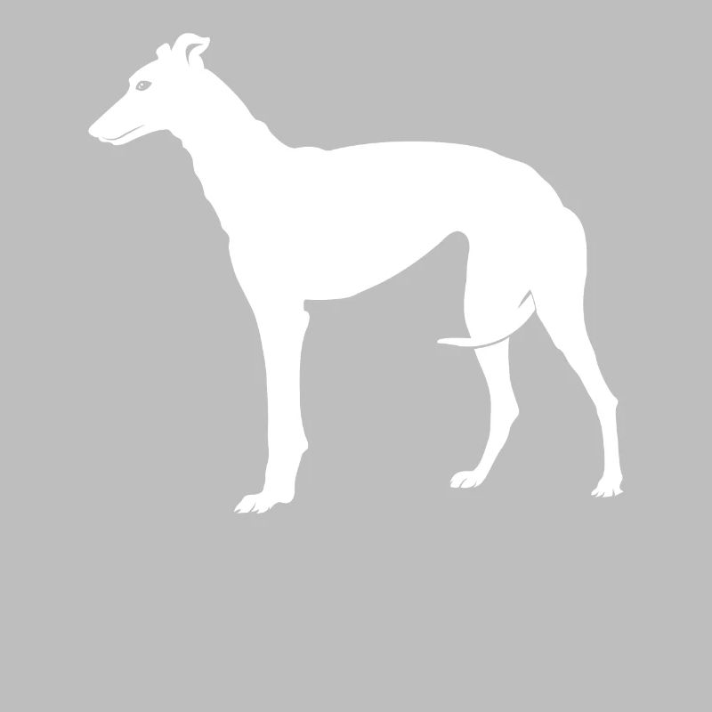 Greyhound greyhound