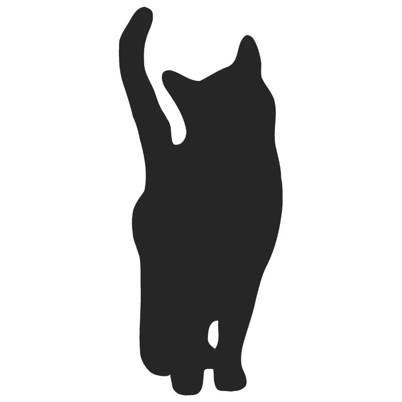 Mon chat