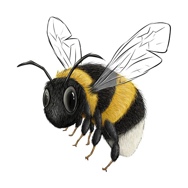 Petit bourdon grondant illustration de bourdon