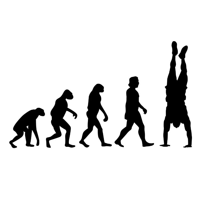 Evolution du renversé