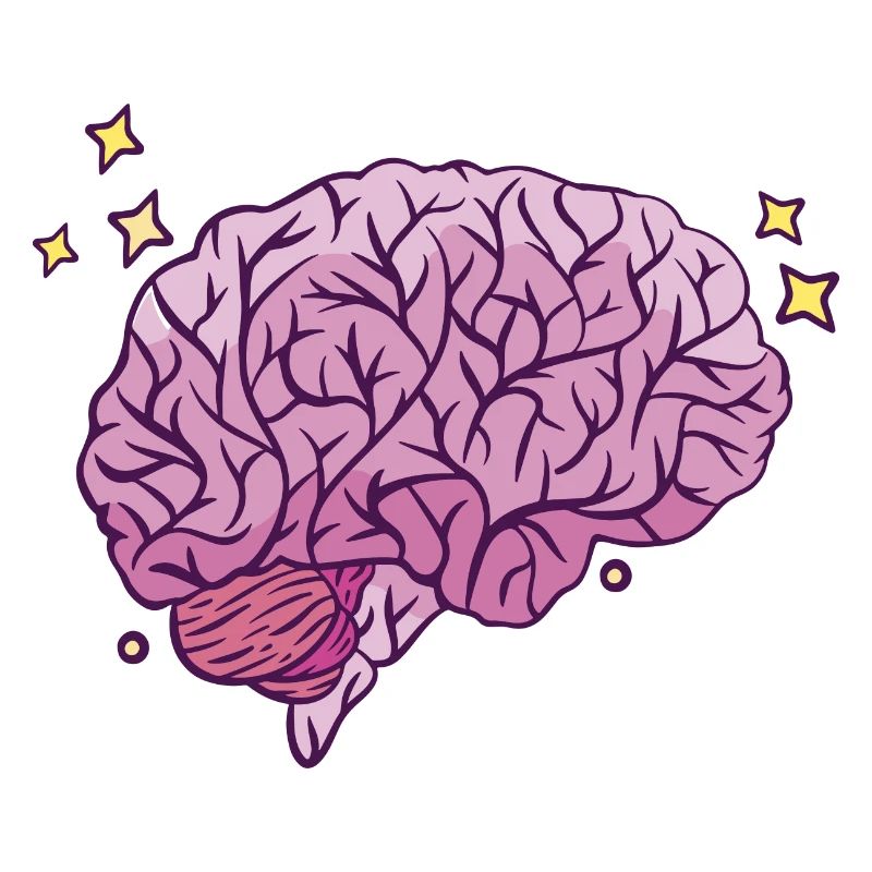 Brain Learning Smart Thinking Knowledge