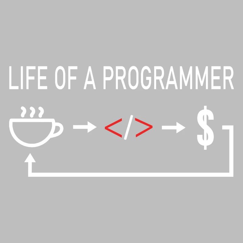 Informaticien La vie d'un programmeur codeur codage