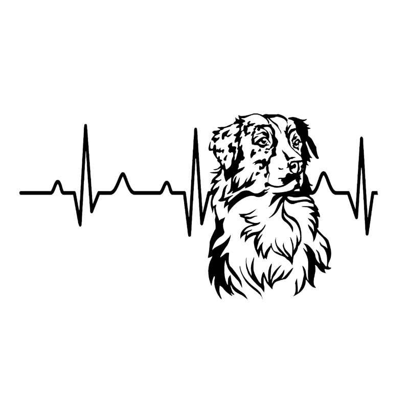 Australischer Schäferhund
