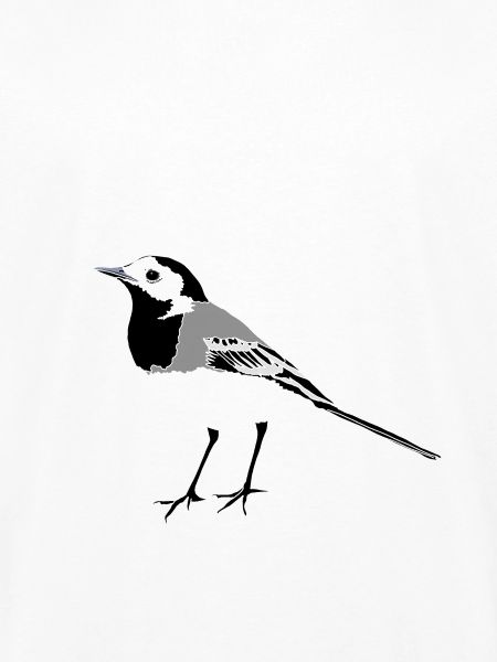 Wagtail