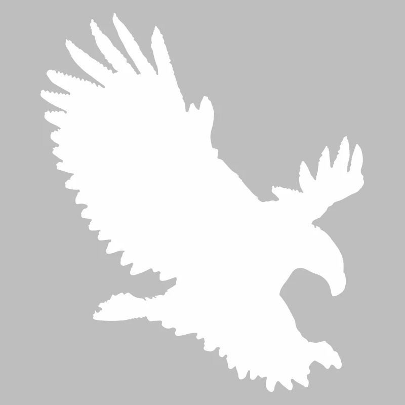 Eagle approaching
