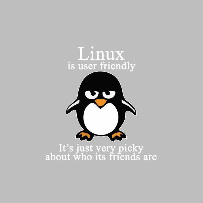 Programming Computer Science Gift · Friendly