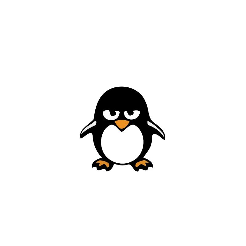 Programming Computer Science Gift · Friendly